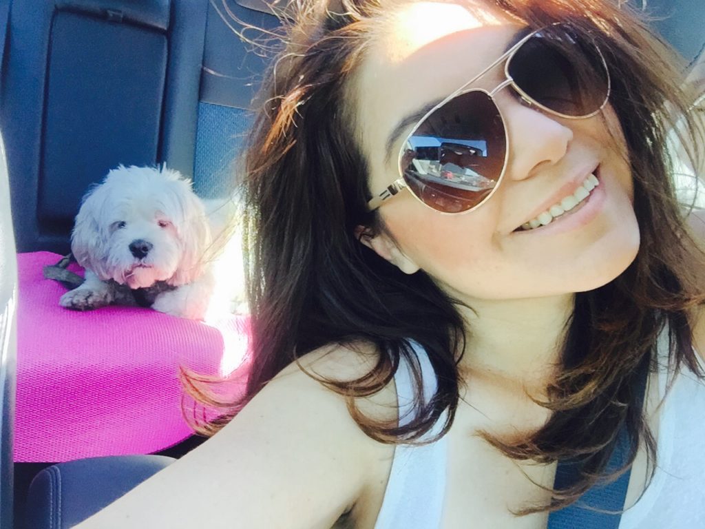 Opened the Power tilt/slide moonroof with sliding sunshade on the 2016 Toyota Corolla and off we went to explore Arizona.