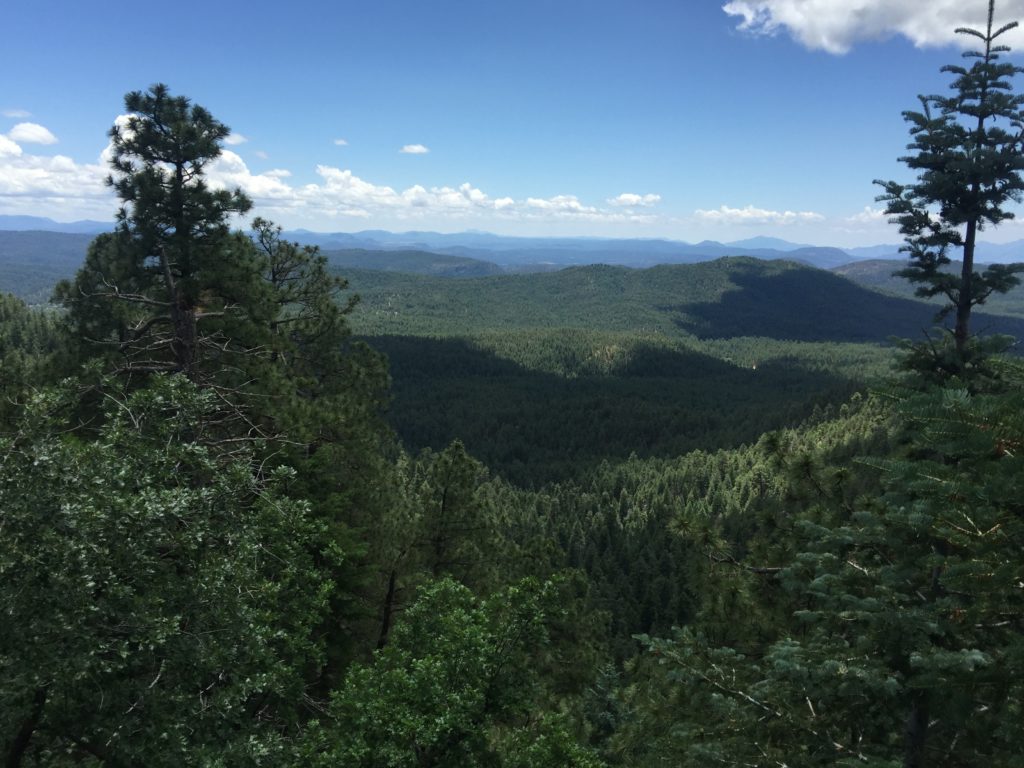 latinaology-rimcountry