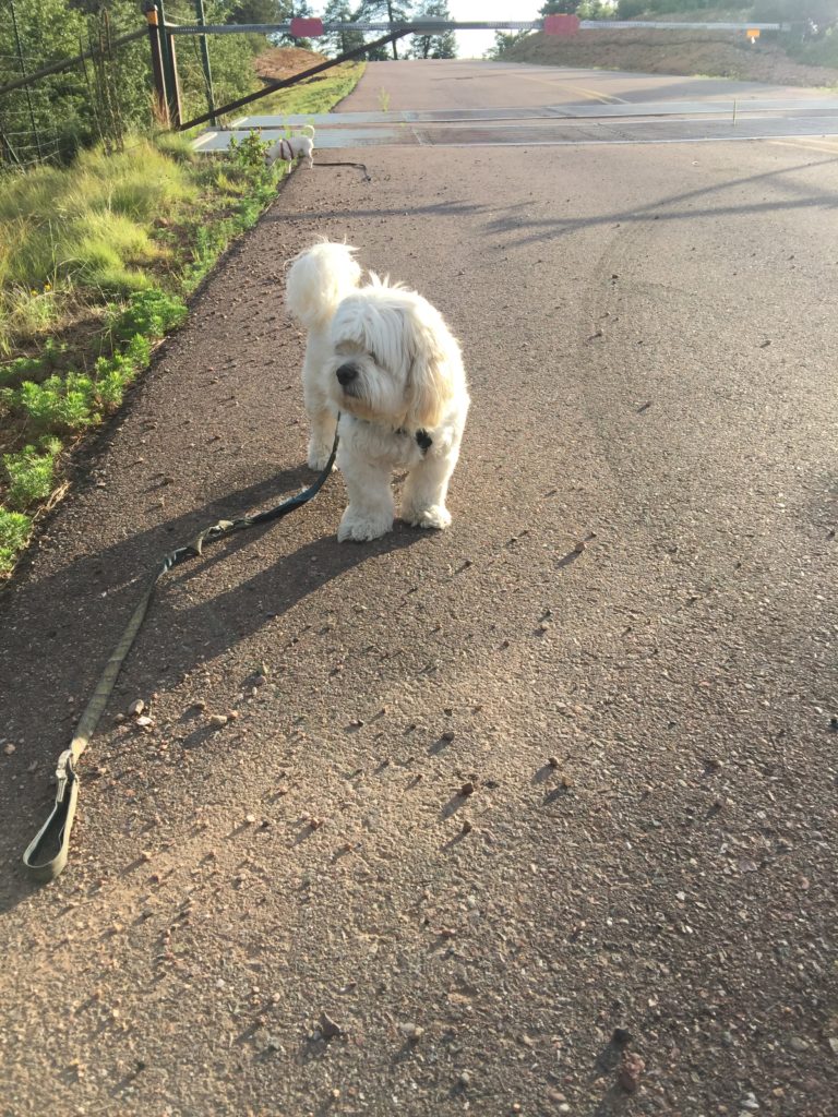 Vanilla truly enjoyed the trip in God's Country 