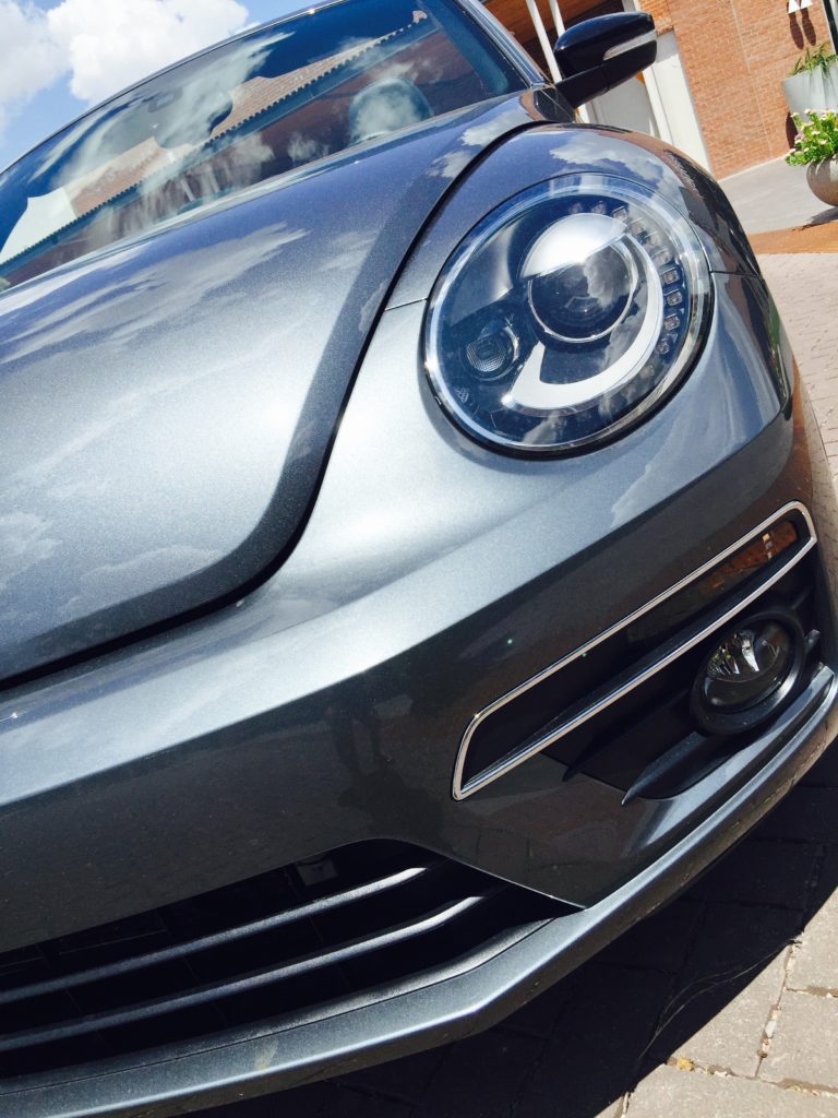 latinaology-vwbeetle 