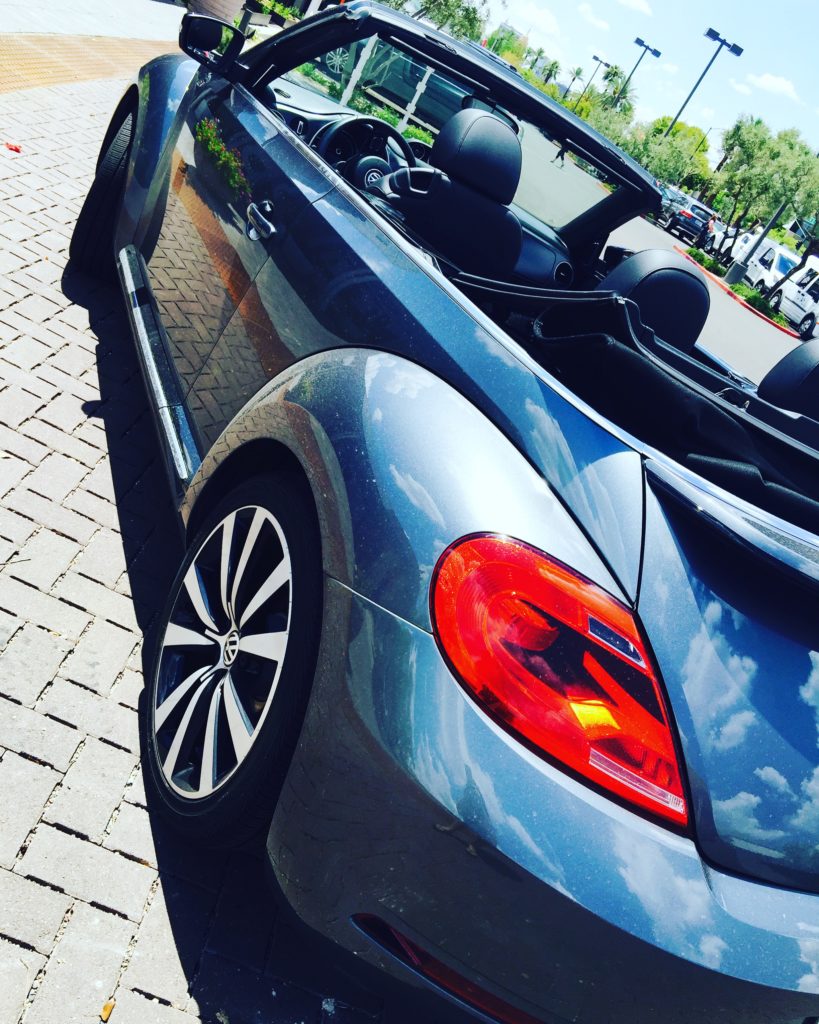 latinaology-vwbeetle